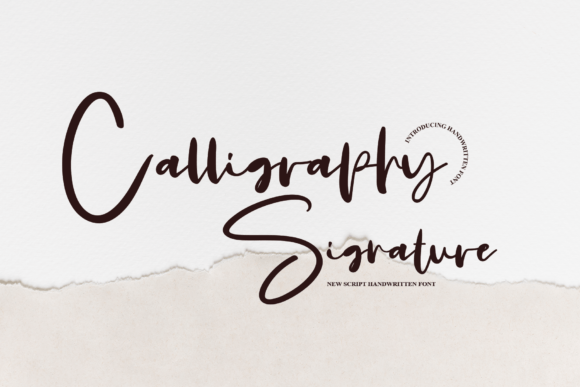 Calligraphy Signature Font for Modern Branding and Design