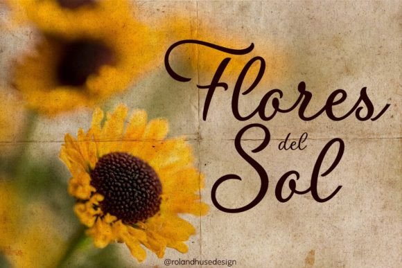 Flores Del Sol Font: A Cursive Script for Creative Branding