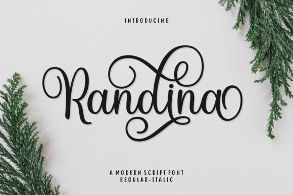 How Randina Font Transformed My Brand's Visual Identity