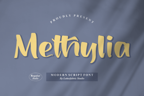 Methylia – A Modern Script Font for Creative Product Makers