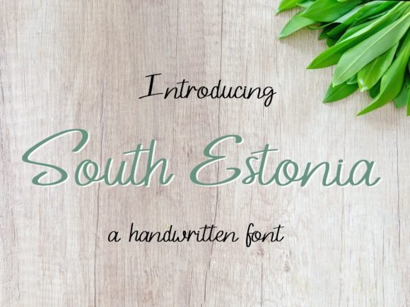 South Estonia Font for Modern Branding Projects
