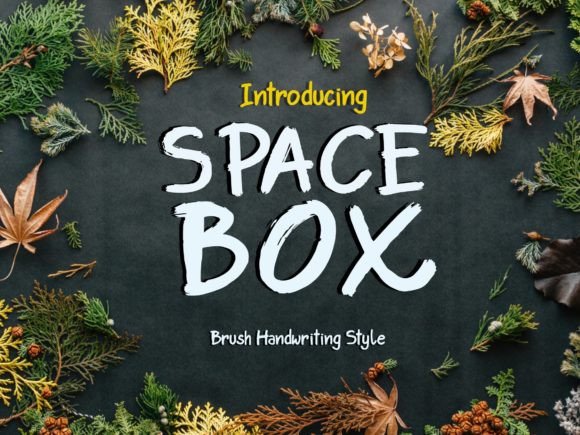 Space Box Font for Modern Web Design and Creative Branding